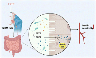 Graphical abstract: Effects of Fu brick tea polysaccharides on gut microbiota and fecal metabolites of HFD/STZ-induced type 2 diabetes rats