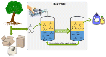 Graphical abstract: Synthesis of biobased amines via Pd-catalysed telomerisation of the renewable β-myrcene in a water/ethanol multiphase system: catalyst recycling enabled by a self-separating product phase