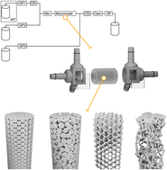 Graphical abstract: A versatile micromodel technology to explore biofilm development in porous media flows