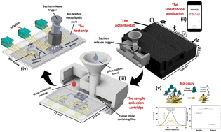 Graphical abstract: Additively manufactured multiplexed electrochemical device (AMMED) for portable sample-to-answer detection