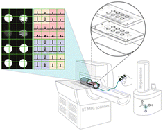 Graphical abstract: Parallel detection of chemical reactions in a microfluidic platform using hyperpolarized nuclear magnetic resonance