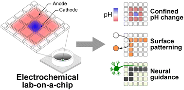 Graphical abstract: Driving electrochemical reactions at the microscale using CMOS microelectrode arrays