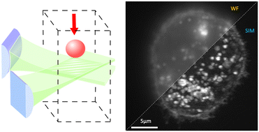 Graphical abstract: Structured-light-sheet imaging in an integrated optofluidic platform