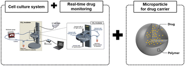 Graphical abstract: Cell chip device for real-time monitoring of drug release from drug-laden microparticles