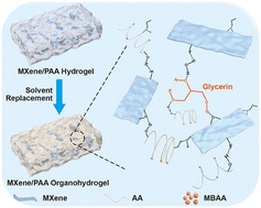 Graphical abstract: Multifunctional MXene/PAA organohydrogel as a flexible strain sensor for wearable human–machine interaction