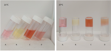 Graphical abstract: Thermoreversible gels for the encapsulation of macrophages: evaluation of polymer type on rheology and cytocompatibility