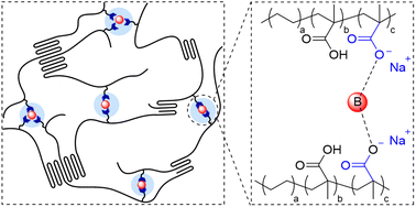 Graphical abstract: Strengthening ethylene-methacrylic acid ionomers with single-boron-based molecules as cross-linkers in dynamic networking