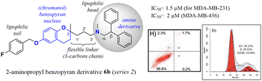 Graphical abstract: Synthesis of 2-aminopropyl benzopyran derivatives as potential agents against triple-negative breast cancer