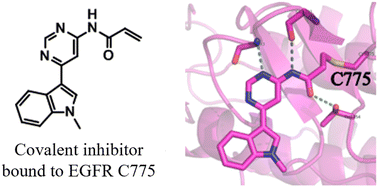 Graphical abstract: A covalent fragment-based strategy targeting a novel cysteine to inhibit activity of mutant EGFR kinase