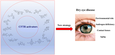 Graphical abstract: Overview of CFTR activators and their recent studies for dry eye disease: a review