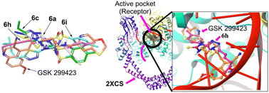 Graphical abstract: Synthesis, biological and molecular modelling for 1,3,4-thiadiazole sulfonyl thioureas: bacterial and fungal activity