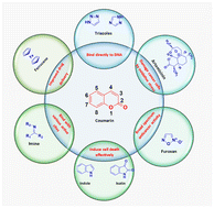 Graphical abstract: Latest developments in coumarin-based anticancer agents: mechanism of action and structure–activity relationship studies