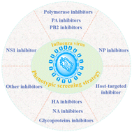 Graphical abstract: Recent advances of phenotypic screening strategies in the application of anti-influenza virus drug discovery