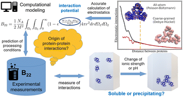 Accurate calculation of second osmotic virial coefficients of proteins ...