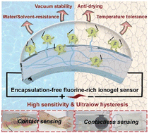 Graphical abstract: High-sensitivity and ultralow-hysteresis fluorine-rich ionogel strain sensors for multi-environment contact and contactless sensing