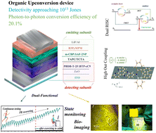 Graphical abstract: A high-performance dual-functional organic upconversion device with detectivity approaching 1013 Jones and photon-to-photon efficiency over 20%