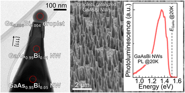 Graphical abstract: High verticality vapor–liquid–solid growth of GaAs0.99Bi0.01 nanowires using Ga–Bi assisted catalytic droplets