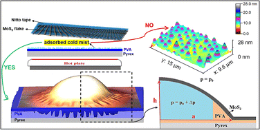 Graphical abstract: Viscous fingering instabilities in spontaneously formed blisters of MoS2 multilayers