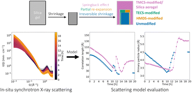 Graphical abstract: Springback effect of ambient-pressure-dried silica aerogels: nanoscopic effects of silylation revealed by in situ synchrotron X-ray scattering