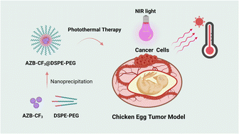 Graphical abstract: Aza-BODIPY-based polymeric nanoparticles for photothermal cancer therapy in a chicken egg tumor model