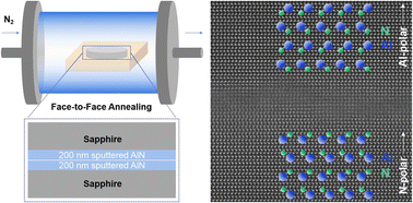 Graphical abstract: The AlN lattice-polarity inversion in a high-temperature-annealed c-oriented AlN/sapphire originated from the diffusion of Al and O atoms from sapphire