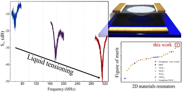 Graphical abstract: Ultrahigh-quality graphene resonators by liquid-based strain-engineering