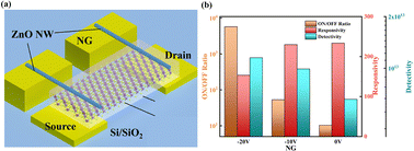 Graphical abstract: Local modulation of Au/MoS2 Schottky barriers using a top ZnO nanowire gate for high-performance photodetection