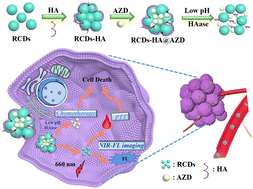 Graphical abstract: pH/hyaluronidase dual responsive nano drug delivery systems for photothermal/chemotherapy combined treatment for non-small cell lung cancer