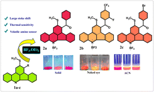 Graphical abstract: Synthesis of Lewis adduct-based indenophenanthridine and study of its tunable optoelectronic properties toward an amine sensor