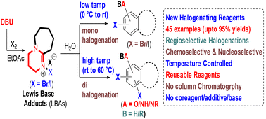 Graphical abstract: A thermo-regulated highly regioselective mono and dihalogenations of phenols and anilines in water employing new Lewis base adducts (LBAs) [DBUBr]+Br− and [DBUI]+I− as green reagents: a simple approach