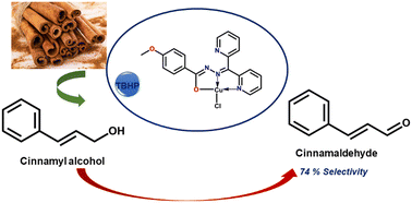 Graphical abstract: Synthesis, spectral characterization, and catalytic efficiency of aroylhydrazone-based Cu(ii) complexes