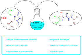 Graphical abstract: Lipase-catalyzed one-pot four-component reaction in water: green construction of substituted 2,3-dihydrothiophenes