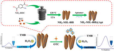 Graphical abstract: A colorimetric aptasensor based on NH2-MIL-88B for highly selective detection of trace oxytetracycline in water