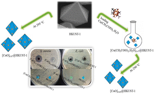 Graphical abstract: Modulating the antibacterial activity of a CuO@HKUST-1 nanocomposite by optimizing its synthesis procedure