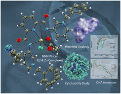 Graphical abstract: Zn(ii) and Cd(ii) pincer complexes bearing meta alkylated pyridinium amidates; synthesis & preliminary anticancer studies