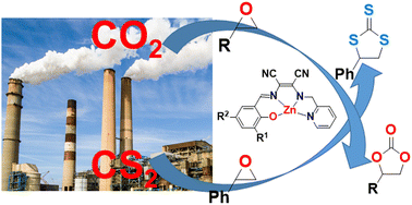 Graphical abstract: Highly selective solvent free catalysis of CO2 and CS2 fixation under mild conditions using electronically varied zinc complexes