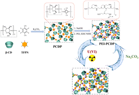 Graphical abstract: Polyethyleneimine-functionalized β-cyclodextrin porous polymers for enhanced elimination of U(vi) from wastewater