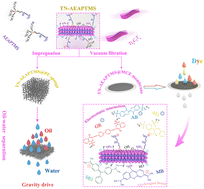 Graphical abstract: Multifunctional applications of amino functionalized Ti3C2Tx: high flux oil/water separation and dye removal