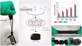 Graphical abstract: Mechanical, robust and conductive eco-friendly self-assembling hydrogel: a novel material for electromagnetic shielding