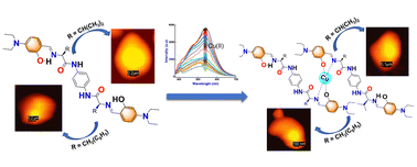 Graphical abstract: Copper-guided tuning of supramolecular nano-assembly in pseudopeptide-based soft bioinspired materials