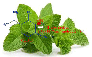 Graphical abstract: Mechanism and kinetics of atmospheric degradation of menthol initiated by hydroxyl radical