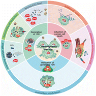 Graphical abstract: Inorganic nanoparticle agents for enhanced chemodynamic therapy of tumours