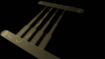 Graphical abstract: Probing physical properties of single amyloid fibrils using nanofluidic channels