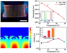 Graphical abstract: Transferable microfiber laser arrays for high-sensitivity thermal sensing