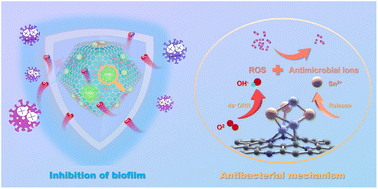 Graphical abstract: Bimetallic CoSn nanoparticles anchored on N-doped carbon as antibacterial oxygen reduction catalysts for microbial fuel cells