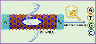 Graphical abstract: Deciphering DNA nucleotide sequences and their rotation dynamics with interpretable machine learning integrated C3N nanopores