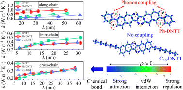 Graphical abstract: Insight into the effect of side chains on thermal transport of organic semiconductors