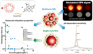 Graphical abstract: The internal structure of gadolinium and perfluorocarbon-loaded polymer nanoparticles affects 19F MRI relaxation times