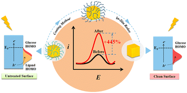 Graphical abstract: Boosting plasmon-enhanced electrochemistry by in situ surface cleaning of plasmonic nanocatalysts