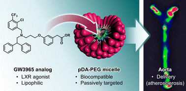 Graphical abstract: Targeted delivery of LXR-agonists to atherosclerotic lesions mediated by polydiacetylene micelles